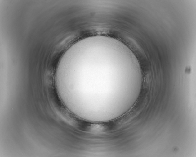 X0000093380218200711011256