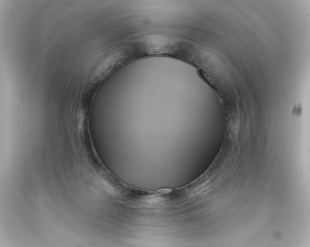 X0000093380219200711011256