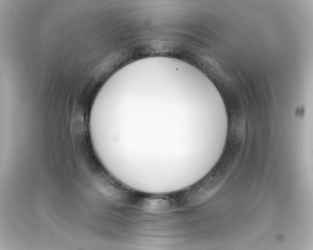 X0000093380220200711011256