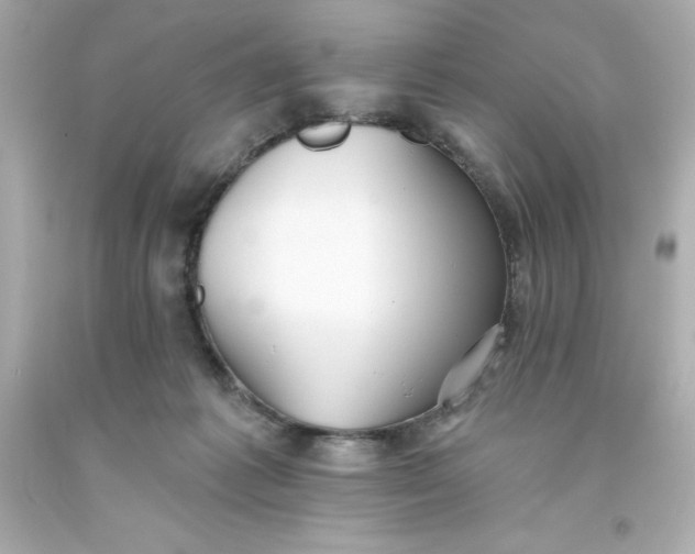 X0000093380221200711011256