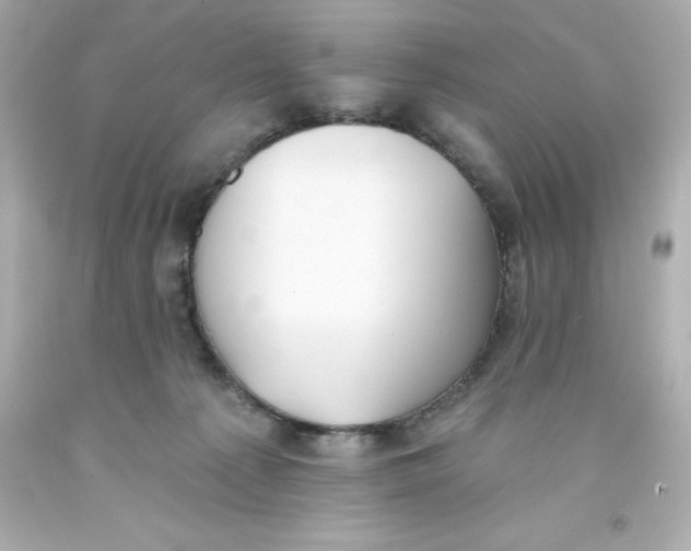 X0000093380225200711011256