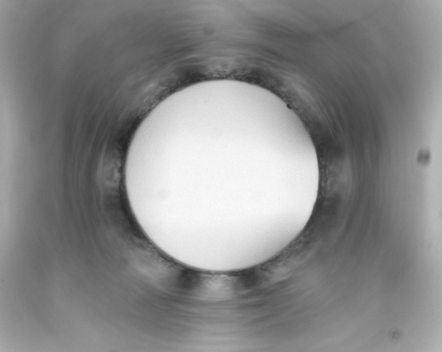 X0000093380226200711011256