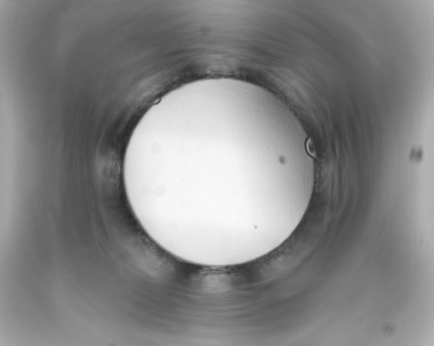 X0000093380228200711011256