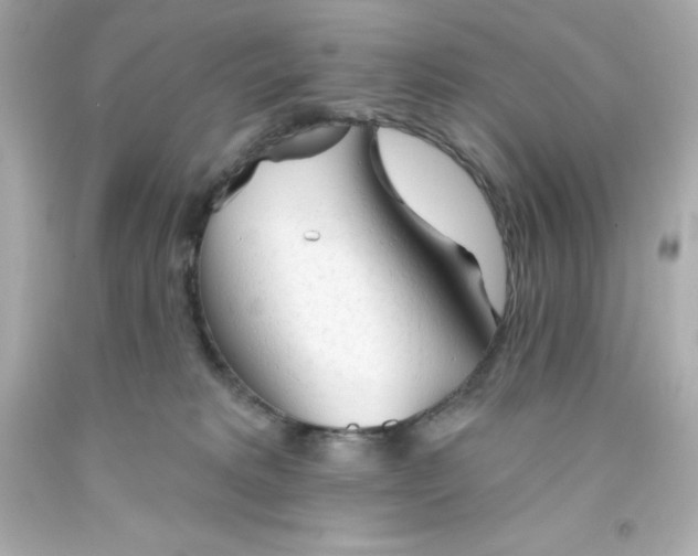 X0000093380229200711011256