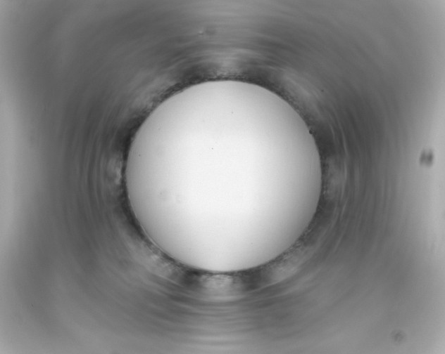 X0000093380230200711011256