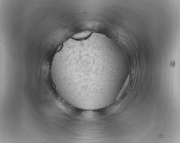 X0000093380231200711011256