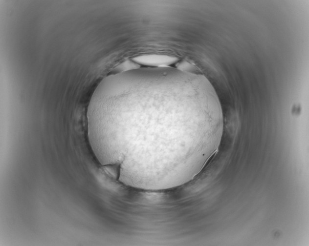 X0000093380233200711011256