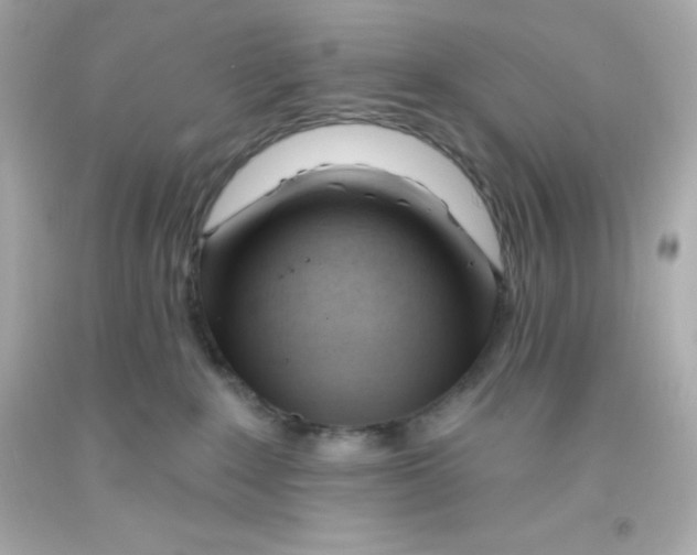 X0000093380235200711011256