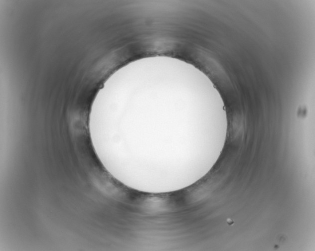 X0000093380236200711011256