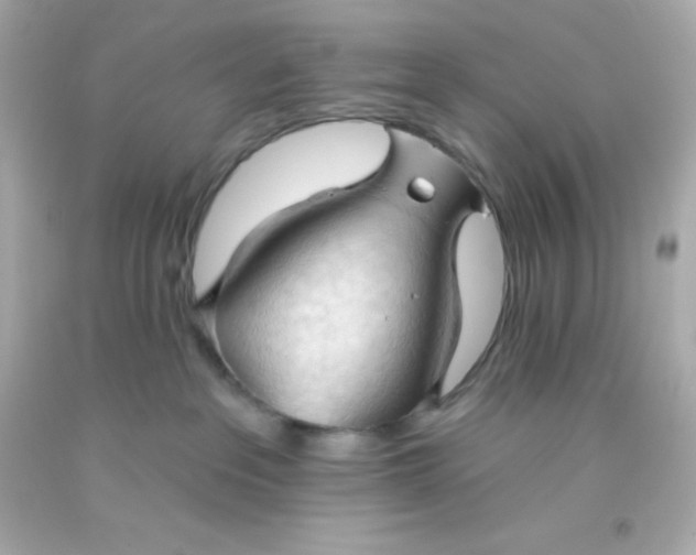 X0000093380237200711011256