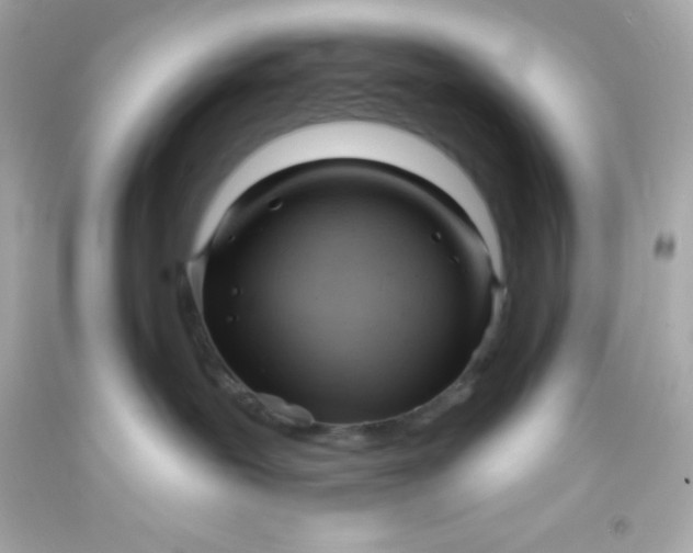 X0000093380239200711011256