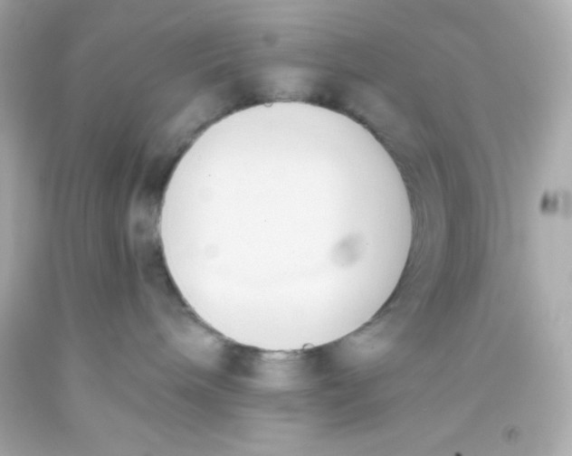 X0000093380240200711011256