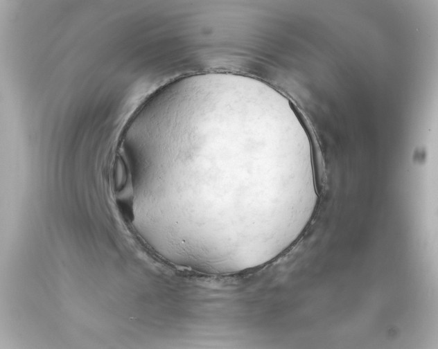 X0000093380241200711011255