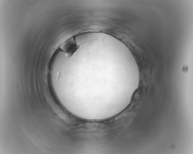 X0000093380242200711011255