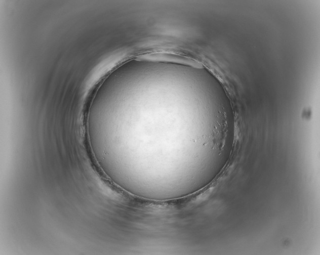 X0000093380245200711011255