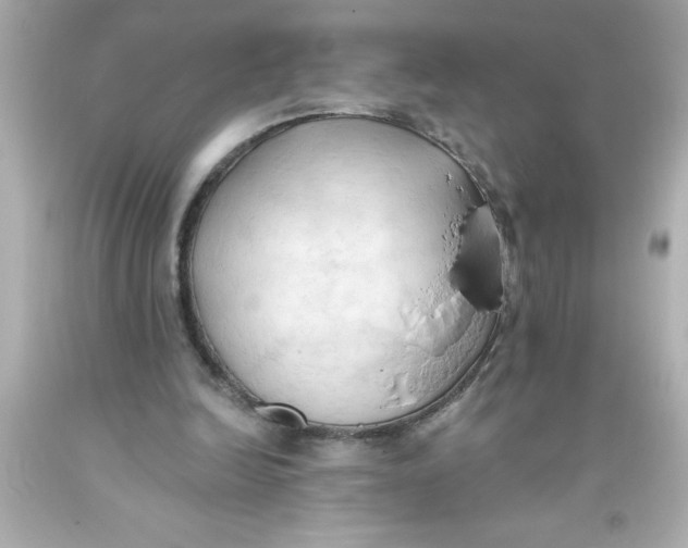 X0000093380246200711011255