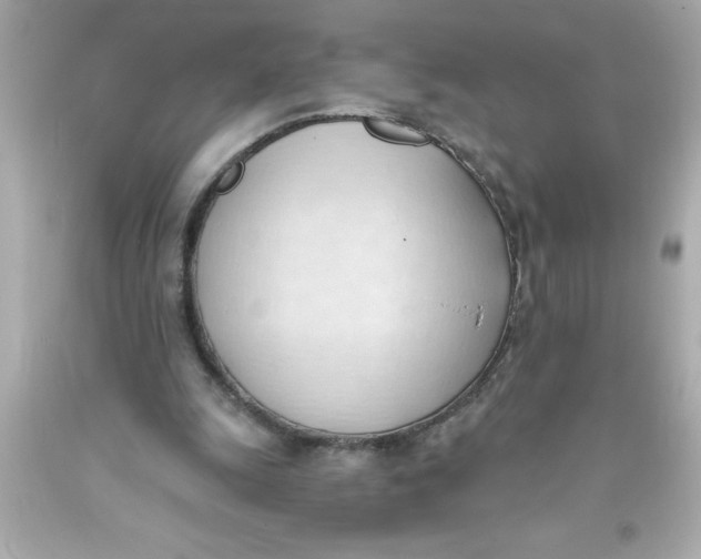 X0000093380247200711011255