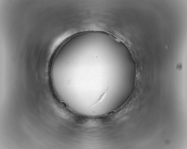 X0000093380248200711011255