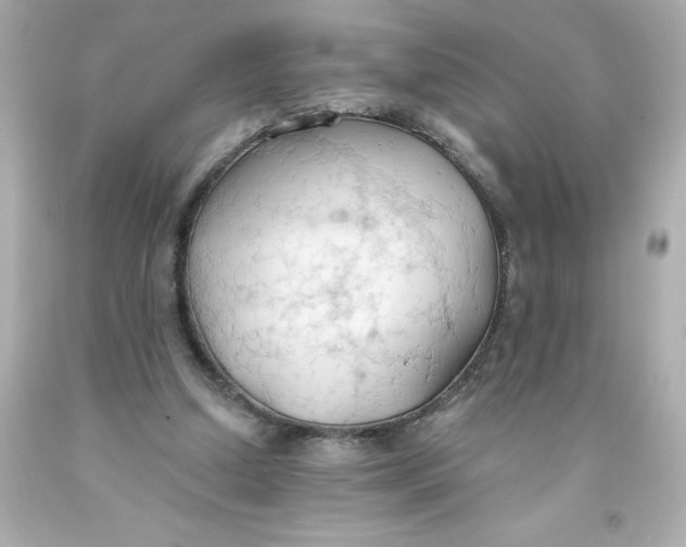 X0000093380250200711011255