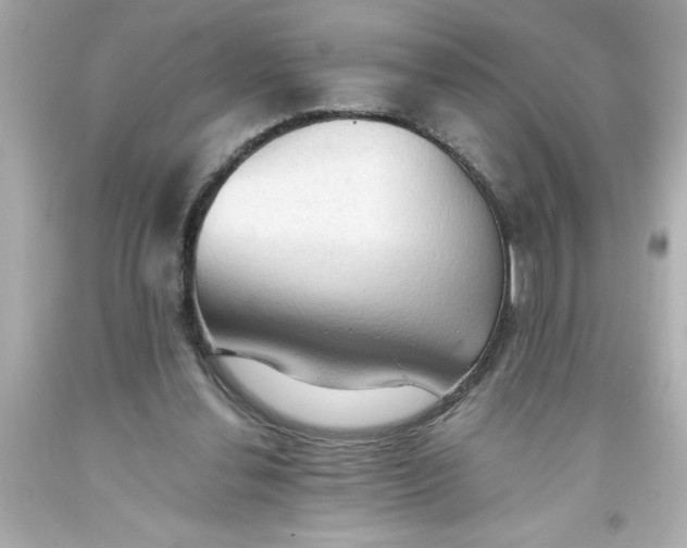 X0000093380252200711011255