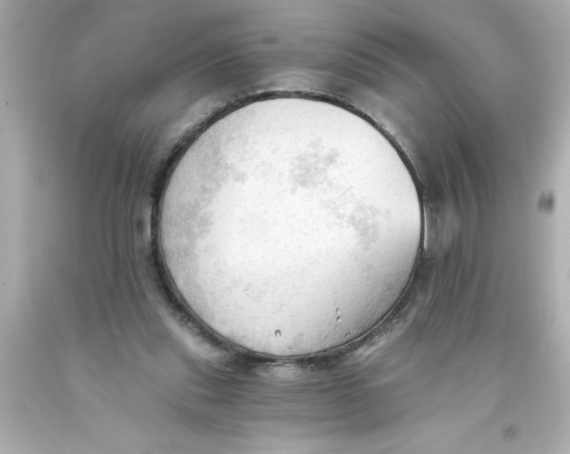 X0000093380253200711011255