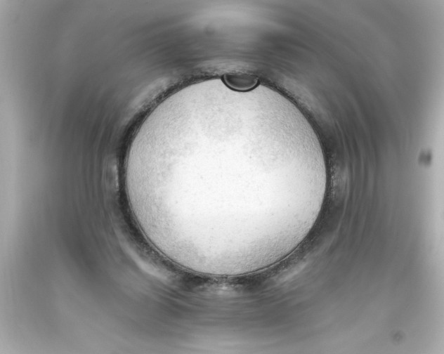 X0000093380254200711011255