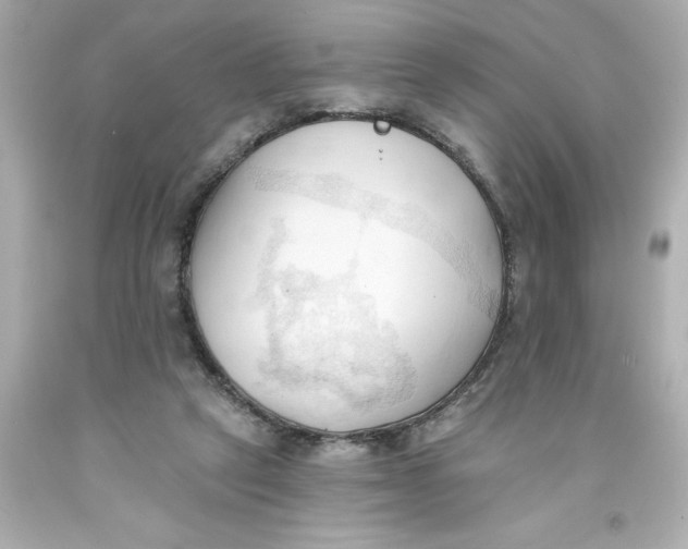 X0000093380257200711011255