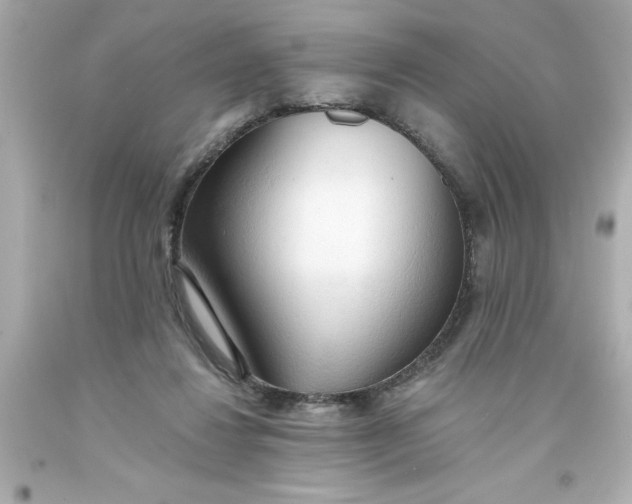 X0000093380260200711011255