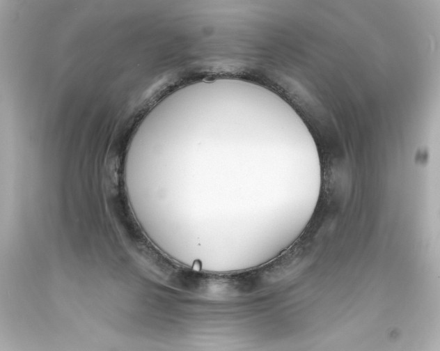 X0000093380264200711011255