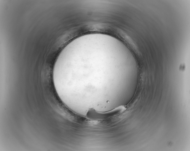 X0000093380265200711011255