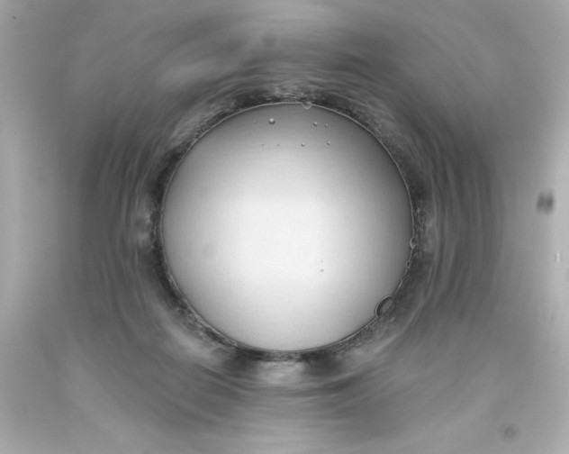 X0000093380266200711011255