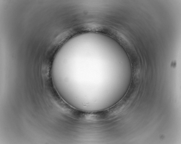 X0000093380268200711011256