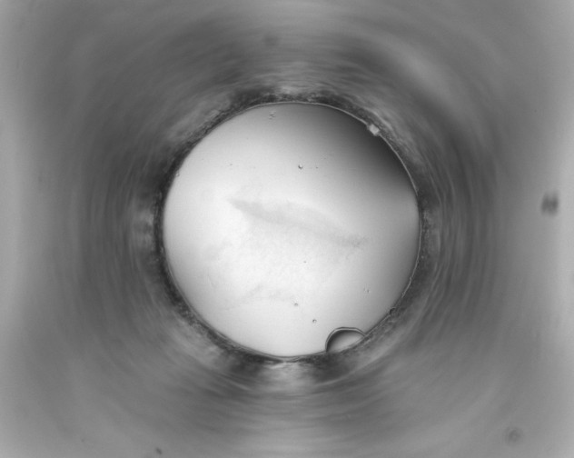 X0000093380269200711011256