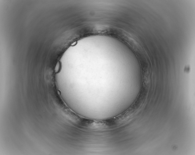 X0000093380270200711011256