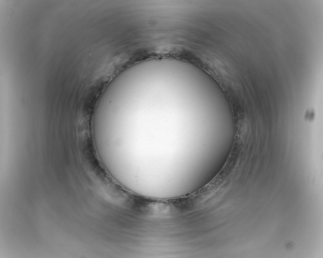 X0000093380272200711011256