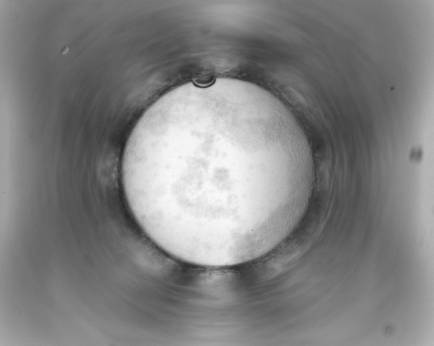 X0000093380274200711011256