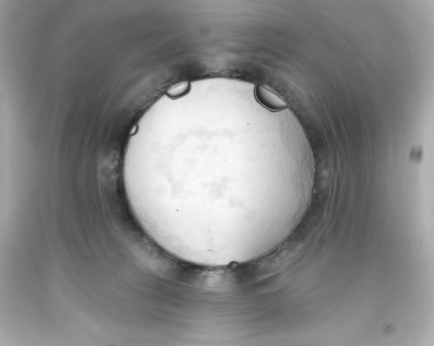 X0000093380275200711011256