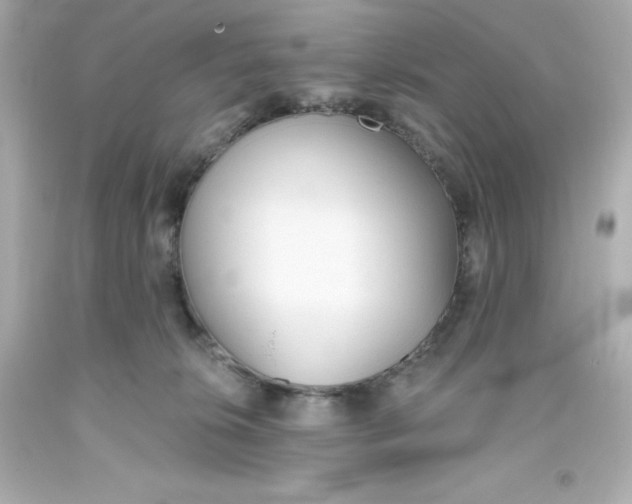 X0000093380276200711011256