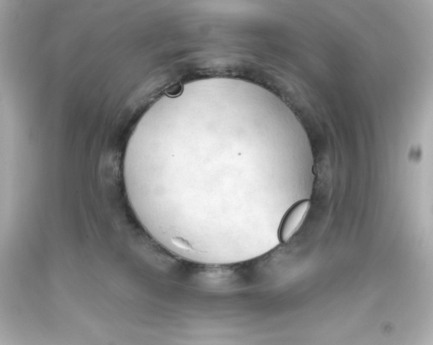 X0000093380278200711011256