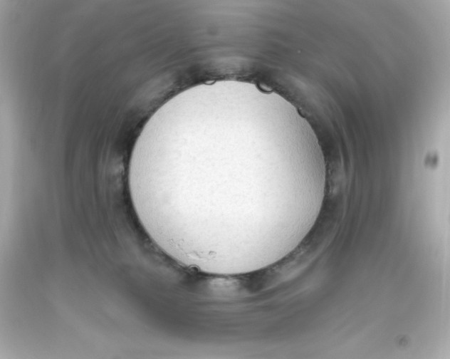 X0000093380279200711011256