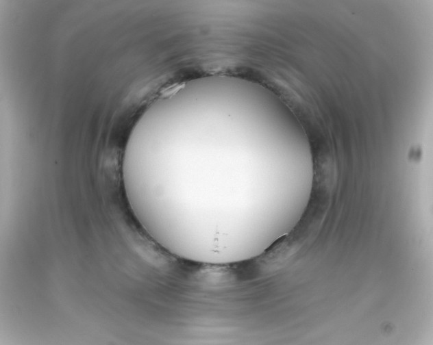 X0000093380280200711011256