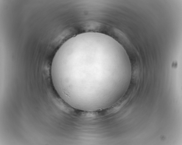 X0000093380282200711011256