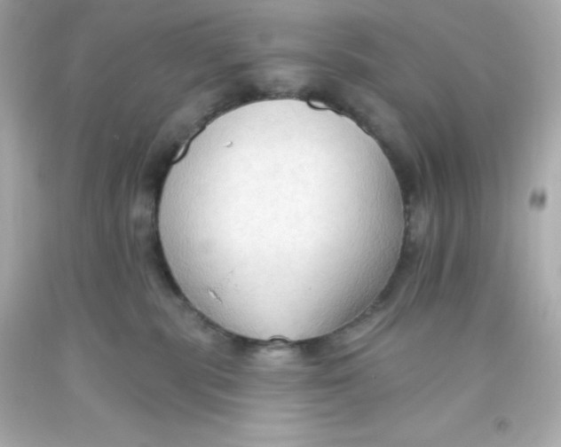 X0000093380283200711011256