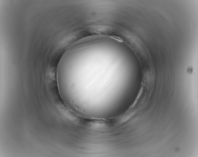 X0000093380284200711011256