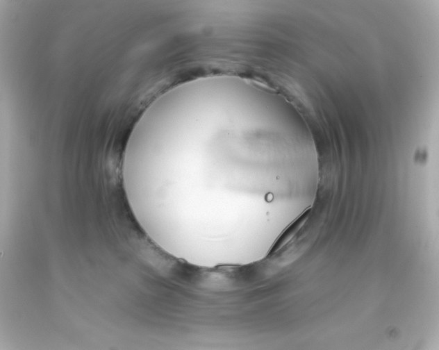 X0000093380285200711011256