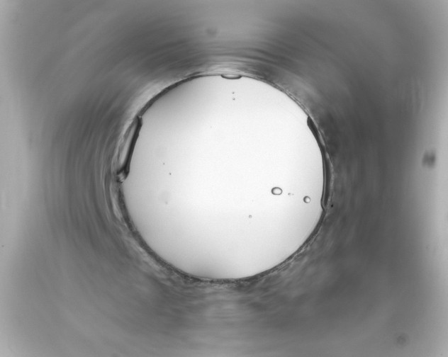 X0000093380289200711011255