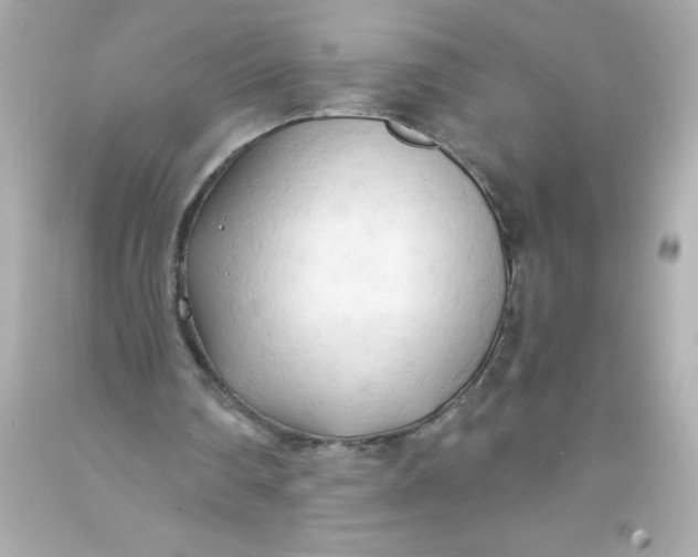 X0000093380290200711011255