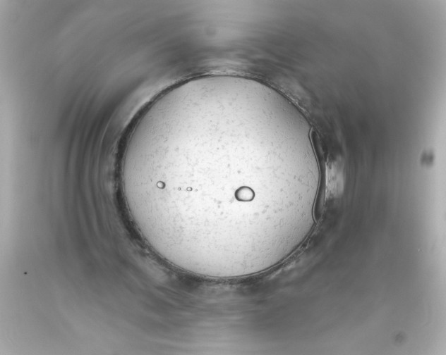 X0000093380291200711011255