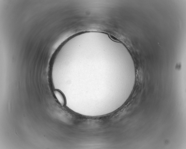 X0000093380292200711011255