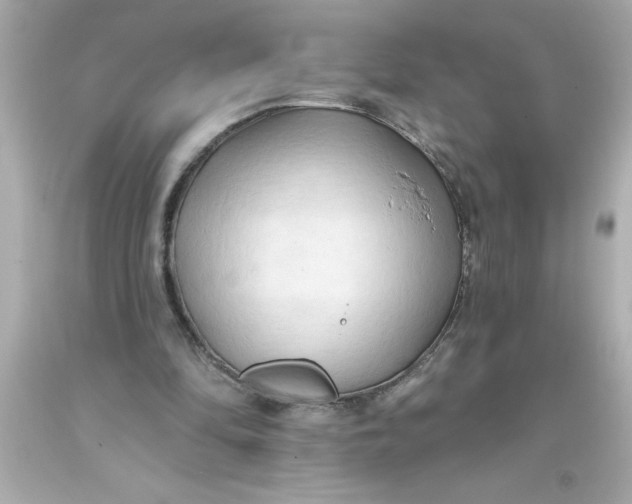 X0000093380294200711011255